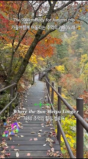 가을 여행에 어울리는 7080추억의 노래 #카페음악 #가을노래 #7080가을에듣기좋은노래 #힐링음악