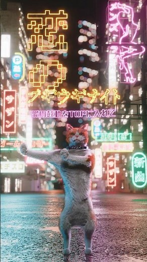 #サザン猫ブギ - サザンオールスターズ 「恋のブギウギナイト」 #Shorts #猫ブーギ