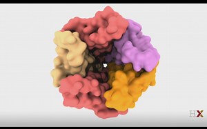 【哈佛大学】神经元——深入EPSPs