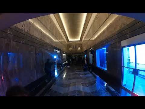 Empire State Building's 2021 Run Up - POV Edition