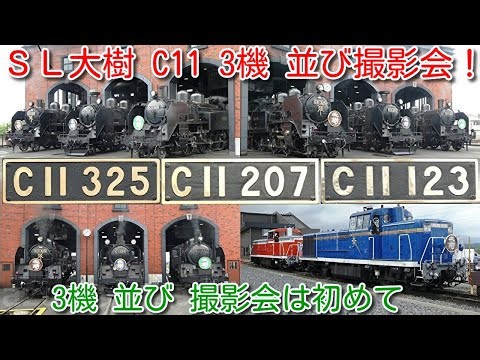 【初めて ＳＬ C11 3機 並び撮影会！下今市機関区】東武鉄道 ＳＬ大樹 C11 325、C11 207、C11 123 3機 並び 初めての撮影会実施