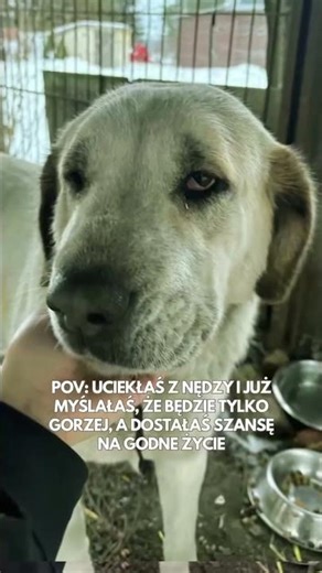 Musaka - nowa podopieczna Ducha prosi o wsparcie