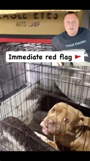 Dog Gives a Warning… What Would You Do?