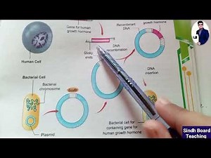 Basic Concepts of Recombinant DNA Technology (Lecture 2)