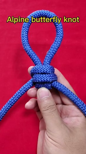 Mastering the Art of Tying the Alpine Butterfly Knot
