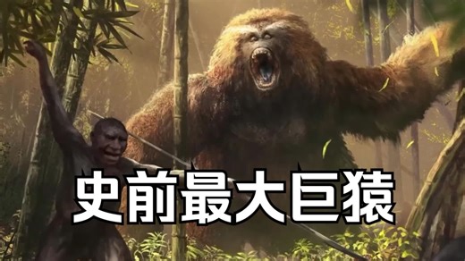地球历史上体型最大的灵长类动物“布氏巨猿”为何灭绝？ #巨猿 #古生物 #科普 #探索发现 #史前巨兽