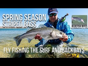 Striped Bass Fly Fishing, Long Island, New York