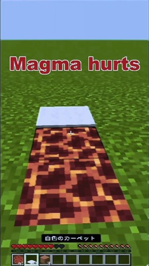 Can Carpet Stop Magma Damage?#minecraft