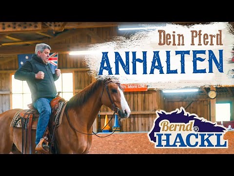 How do I stop my horse? | Bernd Hackl explains! 🐴