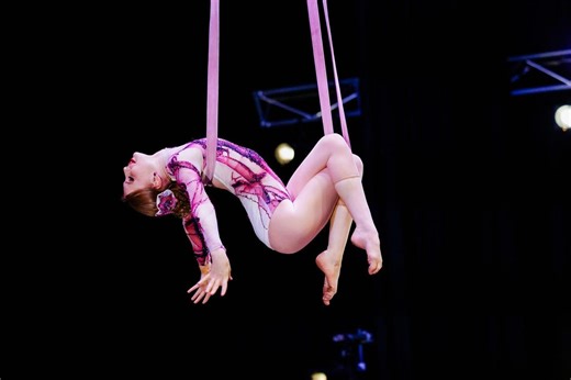 Circus Training Loops With Velvet Cover for Lyra and Hoop Rigging, Equipment for Aerial Acrobats With Safety Locks - Etsy UK
