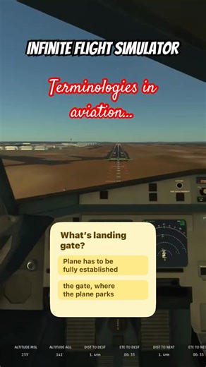 #landing #aviation #flightsimulator #infiniteflight #terminology