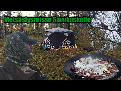 Metsäkanalinnun metsästystä | Kauden 2025 aloitusreissu lappiin
