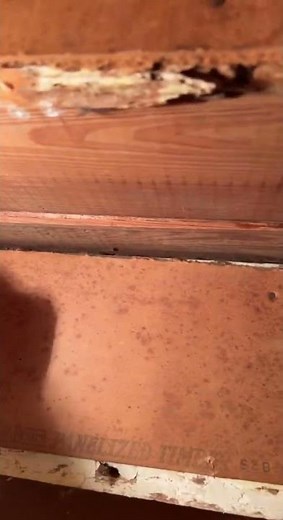 Stair tread repair for an 1800’s home
