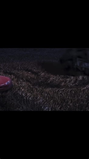 McQueen and the Legacy of Disney Pixar Cars