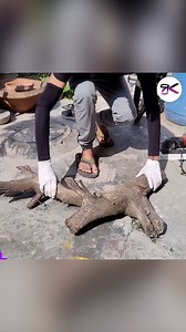 A Bonsai Water Fountain Story 💦🌿 #diy #bonsai #waterfall | RusticKraft