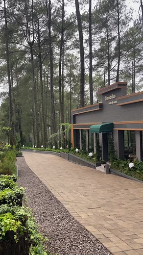 Tempat Terbaik untuk Ngopi di Bandung: Strobilus Cafe