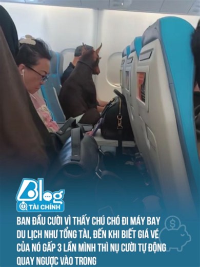 Đủ wow rồi đó #blogtamsu #btsmedia #trending #KinhTe #tintuc #taichinh #TikTokNews #TinTucMoi #KinhDoanh #tietkiem #xahoi #video #dautu #doisong #cuocsong #xuhuong #khoanhkhac #funny #dog