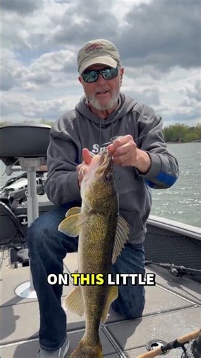 Al with a nice Walleye on the Spotlight Minnow! So fun pitching jig and plastics for these fish !