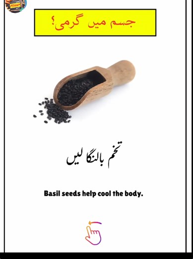 Top Health Tips for a Better You