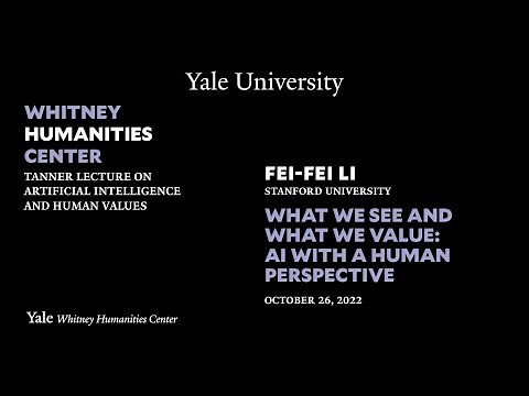 What We See and What We Value: AI with a Human Perspective