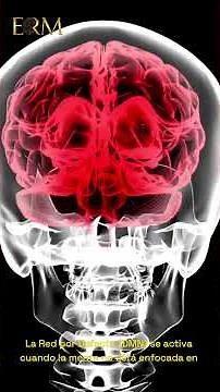 The neuroscientific model of functional brain networks.