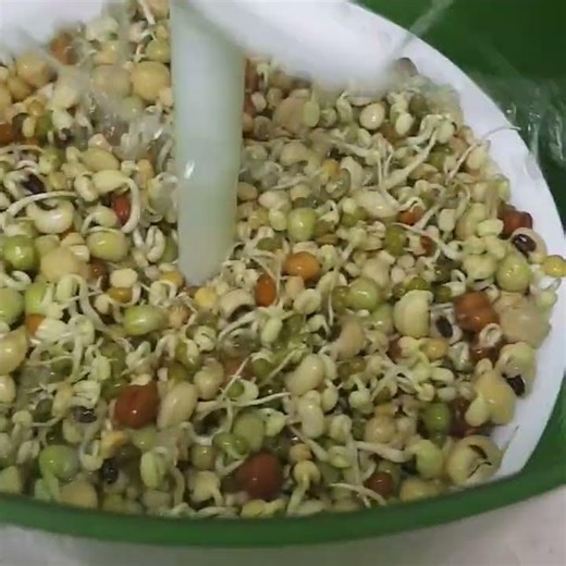 How to make Sprouts easily at home