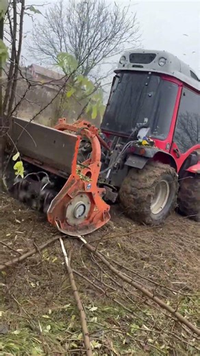 ACM Creativ - firma curatare terenuri de vegetatie invaziva 0744964457