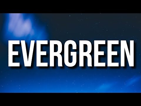 Omar Apollo - Evergreen (Lyrics) "You Didn't Deserve Me At All" [TikTok Song]