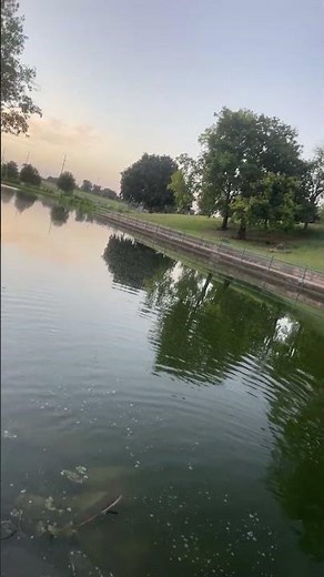 Live highlight #topwaterstrike #2.69$ lure #walmart #bassfishing #fishing #bass