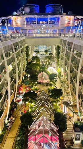 ⚓️🚢 ✨Central Park Vibes at Night ✨on Harmony of the Seas Royal Caribbean International | Central Park Balcony View from Stateroom 10215 | December Vibes #royalcaribbean #harmonyoftheseas #cruiseship #centralpark #highlights | Pearly Darwin