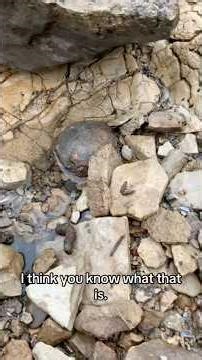 Civil War Exploding Cannonball Found In Riverbed! #relichunting #cannonball #archaeology #mudlarks