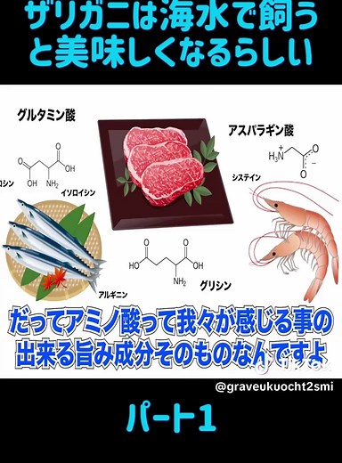 ザリガニを海水で飼う方法とその味わい