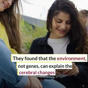 1.8M views · 14K reactions | How intelligent you become depends on what family environment you grow up in. #Neuroscience #Intelligence #Brain #Science #Family #Psychology | Hashem Al-Ghaili | Facebook