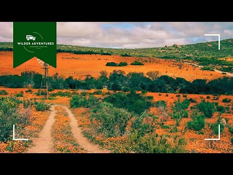 Overlanding in Namaqua: The Cape's Coastal & Mountain Routes | Namaqua | Augrabies | West Coast