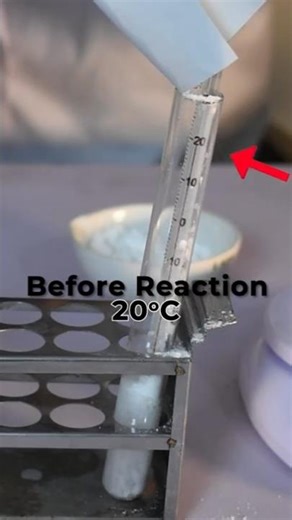 This Reaction Makes Things Cold! | Endothermic Reaction | DIY experiment
