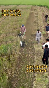 3.6K views · 39 reactions | Self-Propelled Reaper Binder Machine |...