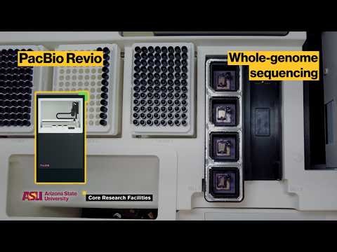 ASU Core Facilities Equipment Showcase: PacBio Revio whole-genome sequencer