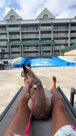 Frank Mitchell (@frankmitchell723)’s videos with original sound - Frank Mitchell