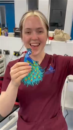 Awarding the winner of the @fitzpatrick_referrals Fitzlet competition 2024 - as voted by you! Thanks for joining the fun x #fitzpatrickreferrals #fitzlet #supervet | Professor Noel Fitzpatrick