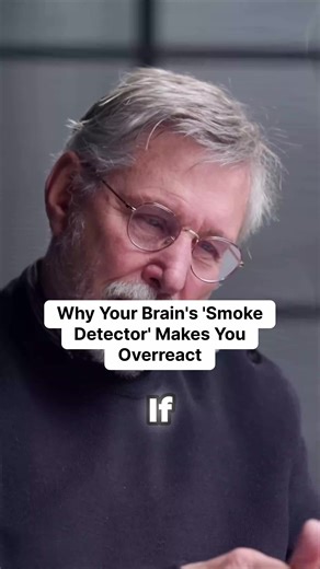 Understanding the Hypersensitive Amygdala and Its Effects