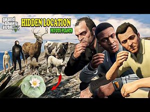 GTA 5 – Every Peyote Plant Location Guide (Complete Map 2026)