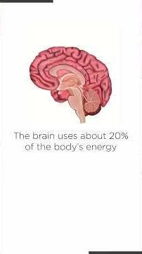 ONE RIGHT ANSWER | Quiz Pop 003 | Can You Get 5/5?🤔