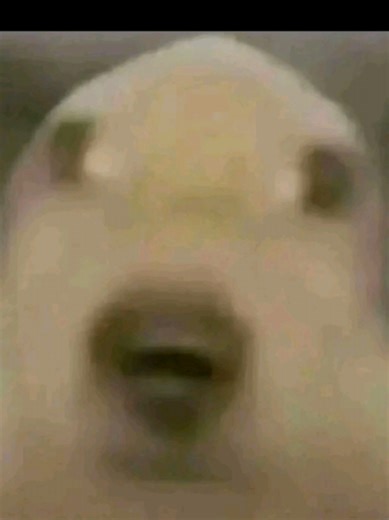 Mastering Dragon Ball Legends: Tips and Tricks