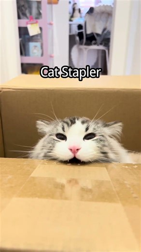 Cat Stapler