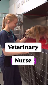 Think you know what it’s like to be a Veterinary Nurse? For Veterinary Nursing Month, Chloe from @vets_now busts some myths about what her job is really like. Find out more about how to become a vet nurse at My World of Work. #careers #VNAM2025 #vetnurse #STEM | My World of Work