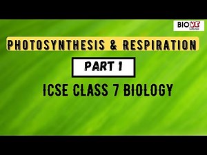Photosynthesis and Respiration | Part 1 | ICSE Class 7 Biology