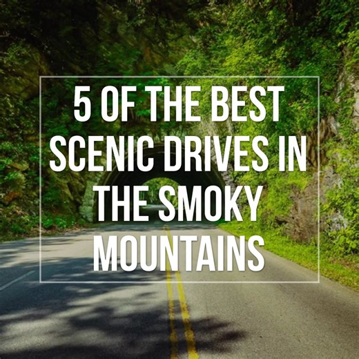 It’s easy to see amazing views here in the Smoky Mountains when you take any of these scenic drives in the area! Learn more >> https://www.visitmysmokies.com/blog/smoky-mountains/best-scenic-drives-smoky-mountains/ | Visit My Smokies