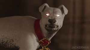 Wonder Woman used by Krypto (jackerman)