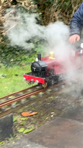 Beautiful Miniature Tank Locomotive in Full Steam 🚂✨ #MiniatureRailway #ModelEngineering