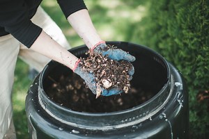 How to start a compost pile for your garden in 3 simple steps